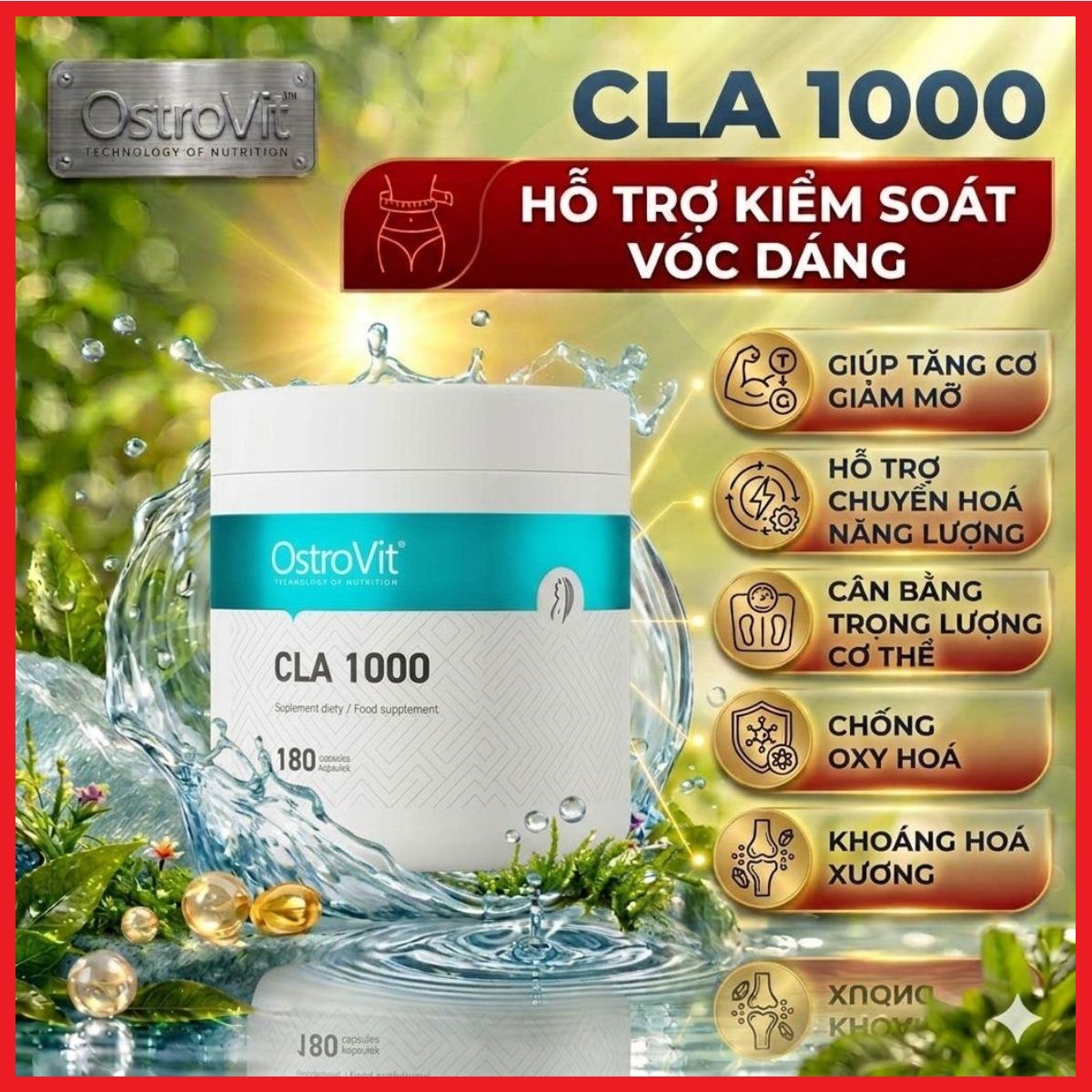 Tiếng Việt 180v 1200 Viền