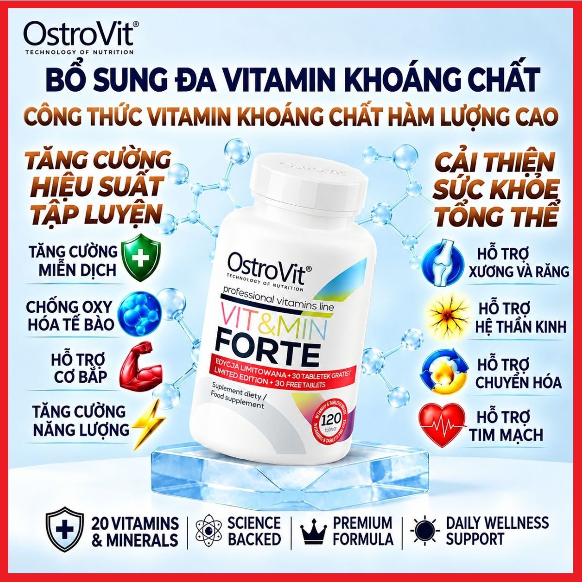 Forte 120v 1200 Viền
